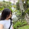 tracychn